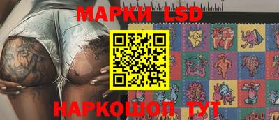 шишки Изобильный