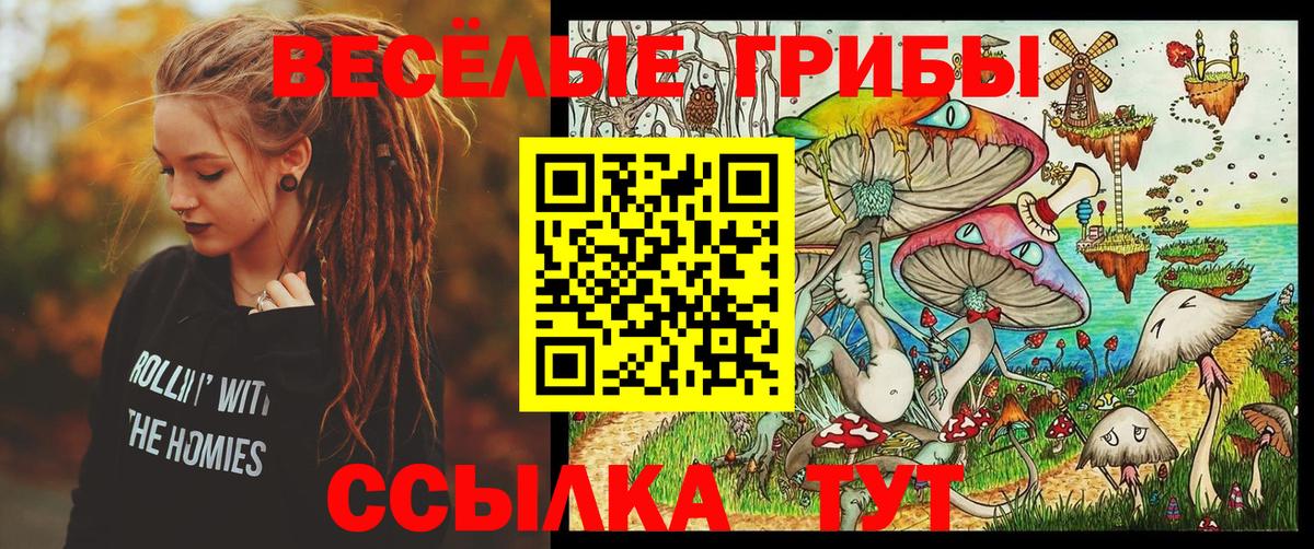 Галлюциногенные грибы мицелий  Вход с VPN  Вологда 