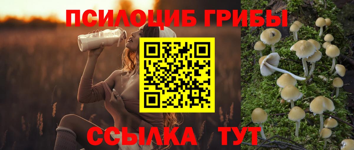 Галлюциногенные грибы Magic Shrooms Вологда